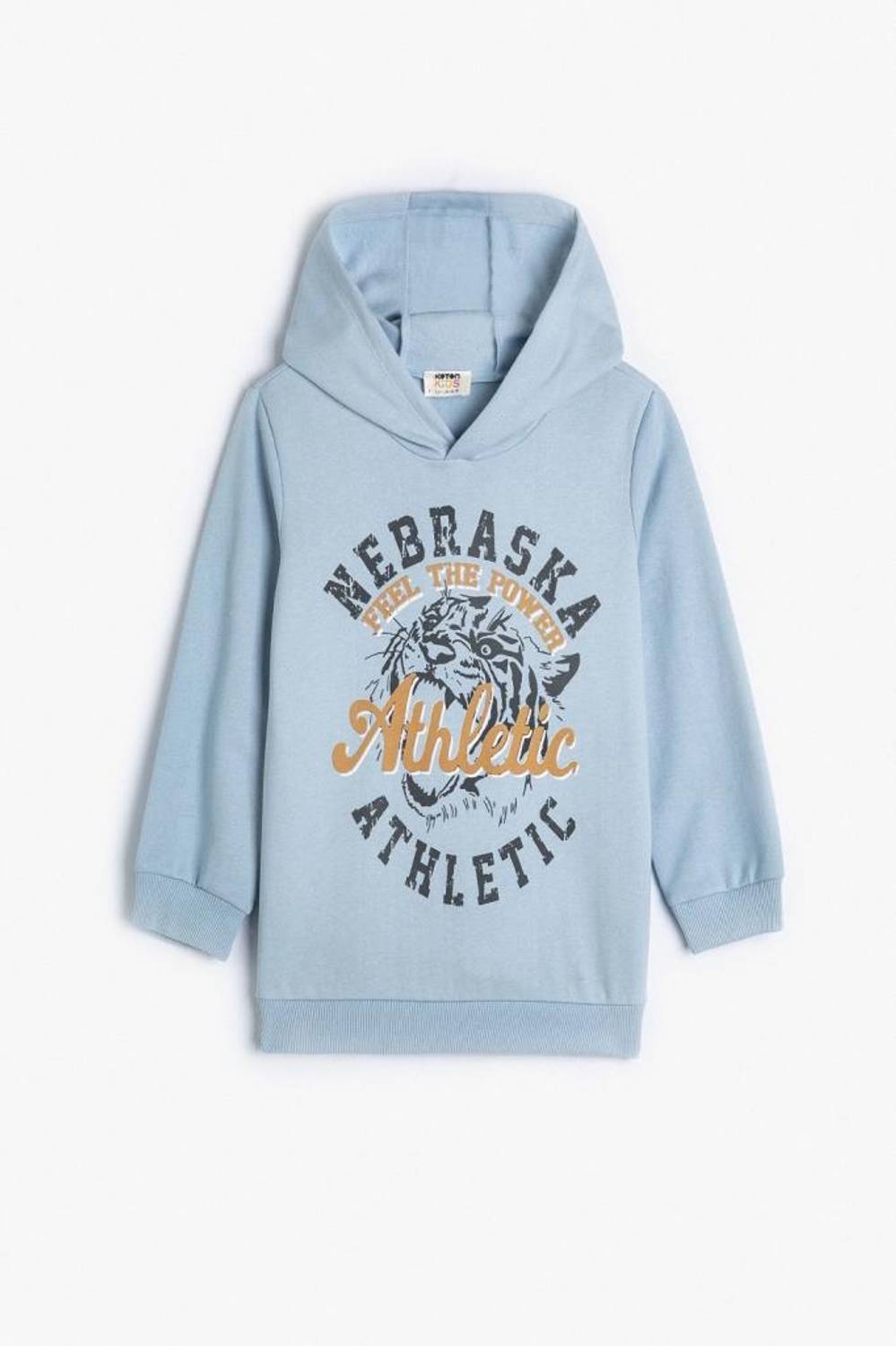 Boys' Hooded Sweatshirt with Slogan Print and Tiger Detail, Long Sleeve, Blue, Sizes 5-12 Years