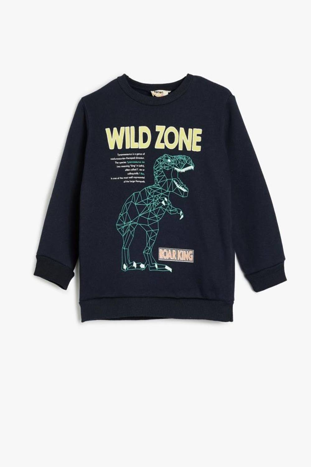 Boys' Dinosaur Print Long Sleeve Sweatshirt with Crew Neck in Navy, Made from Recycled Yarn, Respect Life Collection, Available in Multiple Sizes