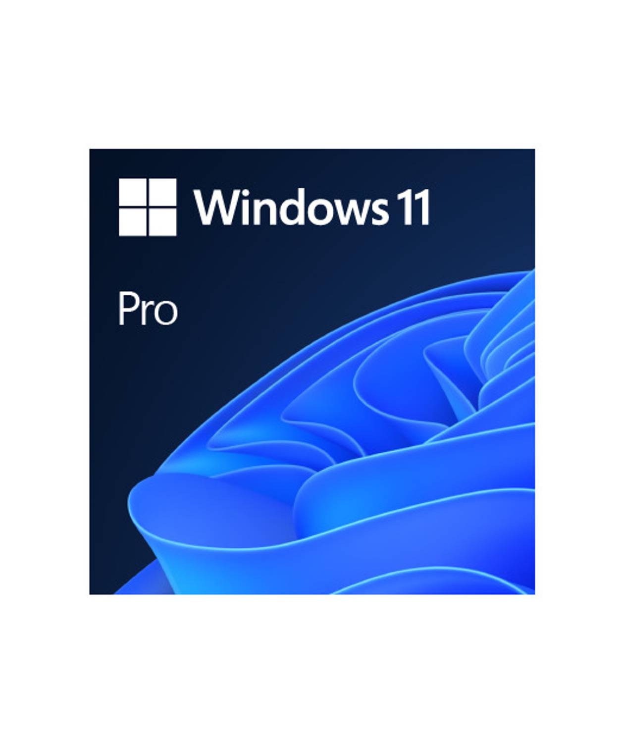 MS WINDOWS 11 PRO 64Bit İNGİLİZCE OEM FQC-10528