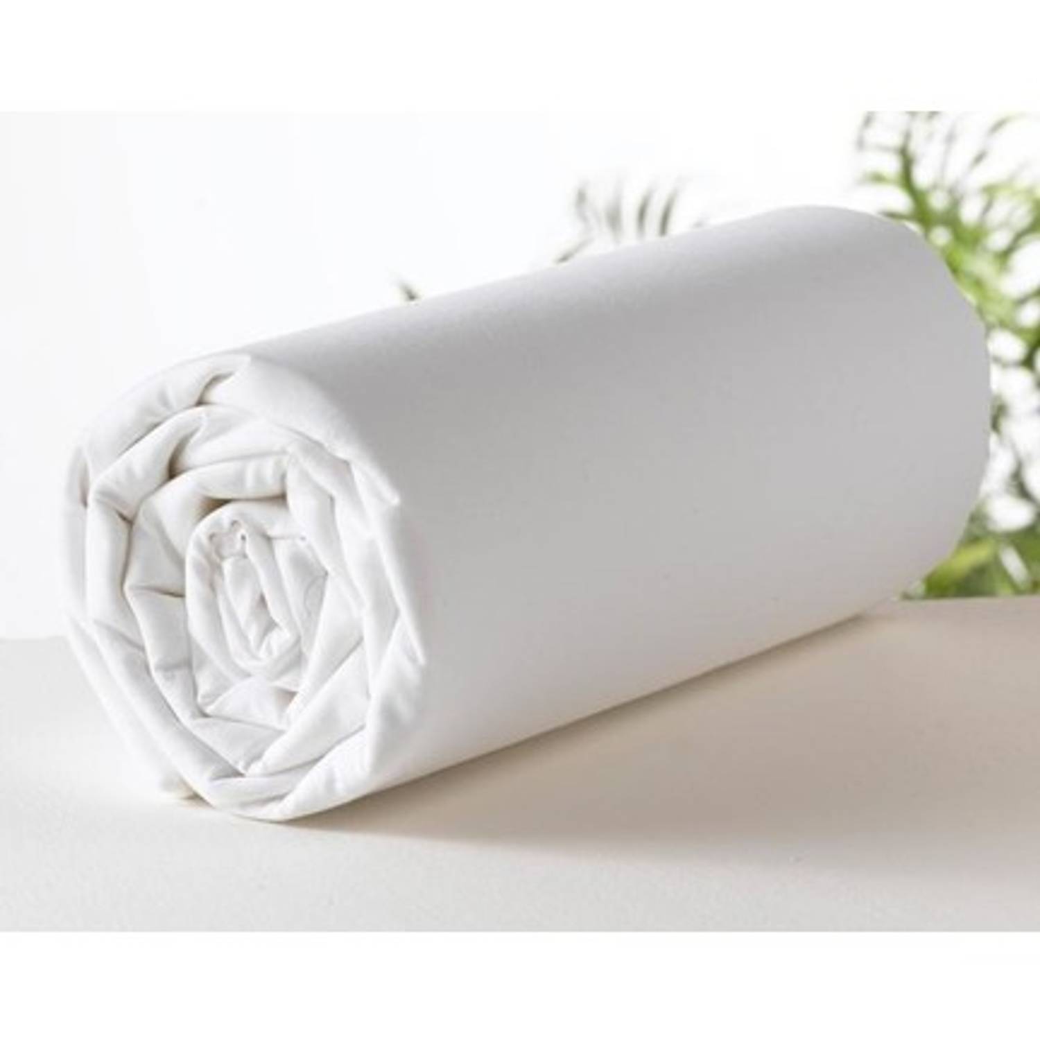 Şanlı Single Cotton Elastic Bed Sheet 100 x 200 Cm White