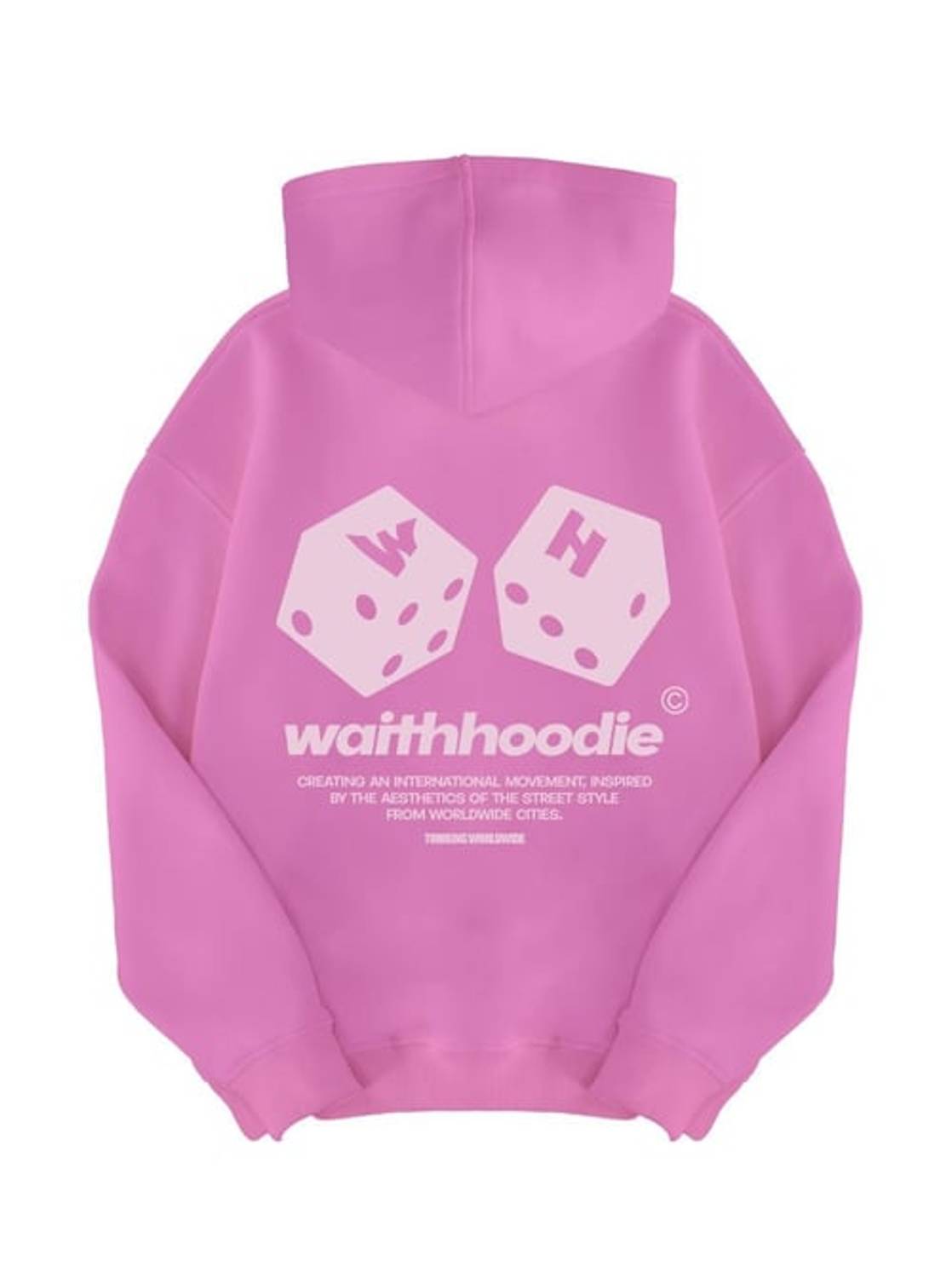 Unisex Zar Sweatshirt Hoodie Pembe