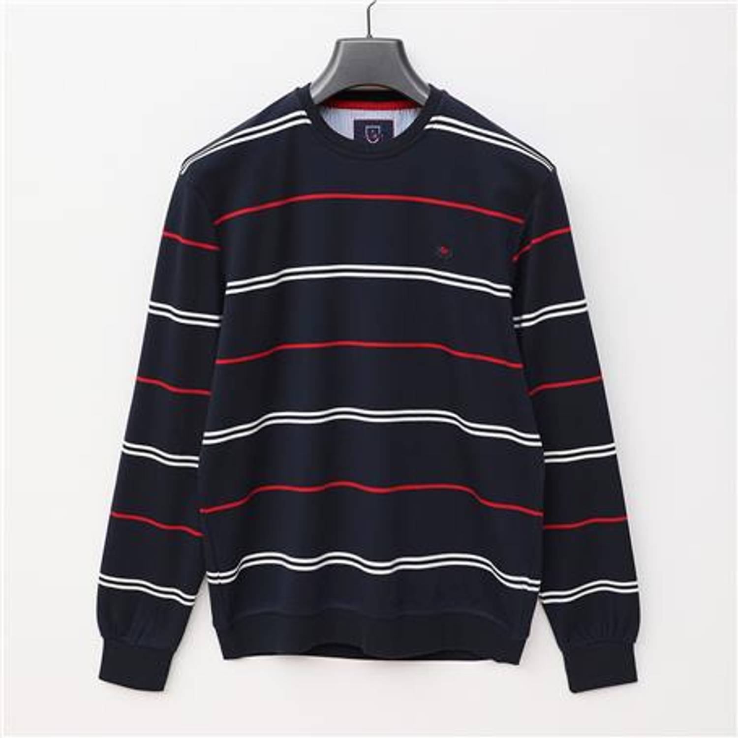 Erkek Uzun Kol Bisiklet Yaka Çizgili Sweat - CZT-113 - Lacivert