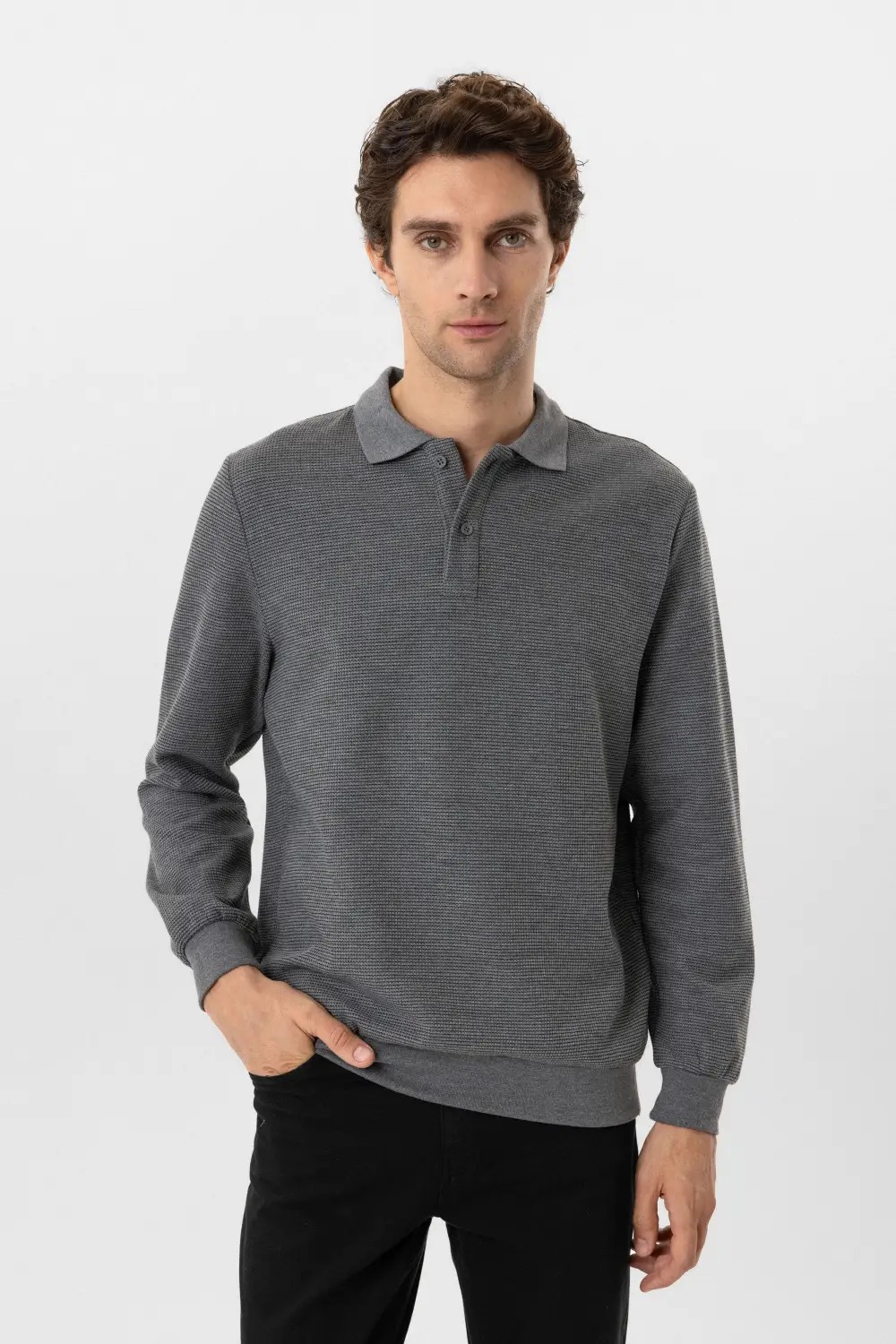 Polo Yaka Regular Kalıp Armürlü Sweatshirt