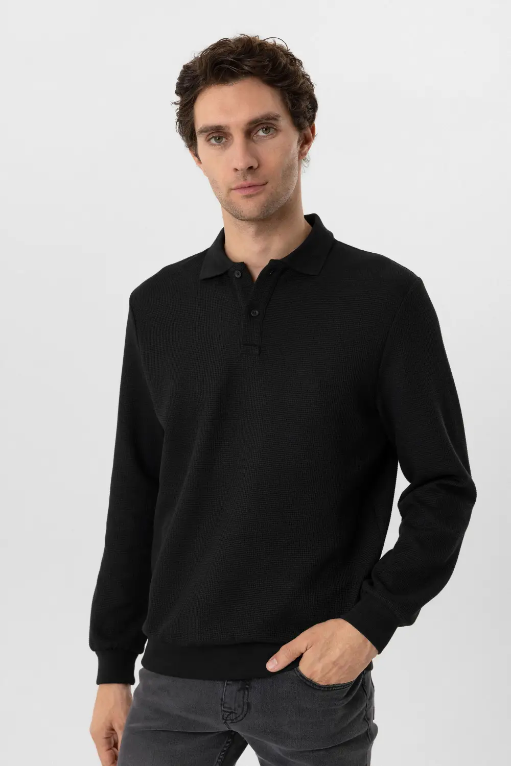 Polo Yaka Regular Kalıp Armürlü Sweatshirt