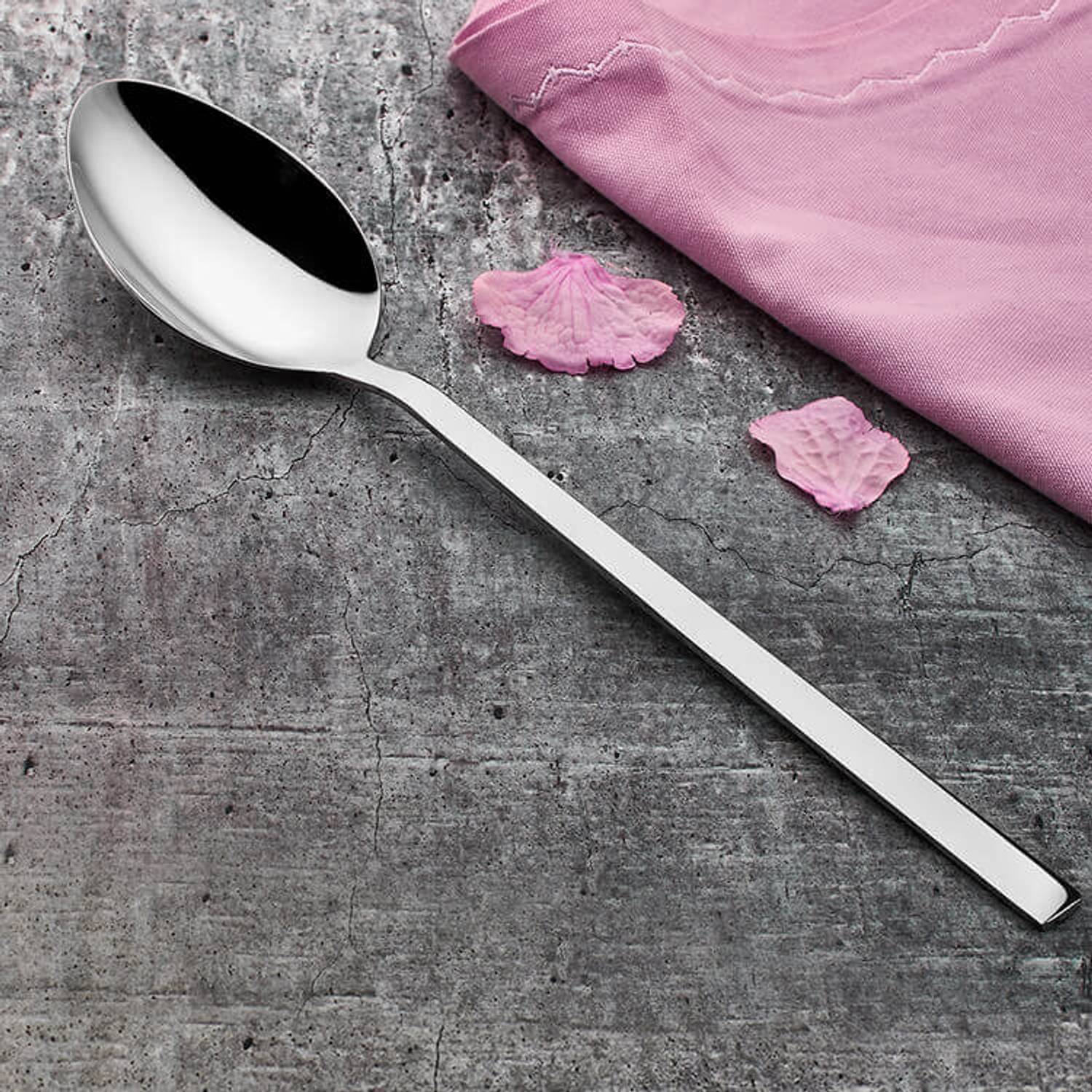 Class 18/10 Stainless Steel Serving Spoon