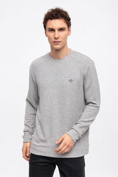 Açık Gri Regular Fit Bisiklet Yaka Sweatshirt - fotoğraf 3