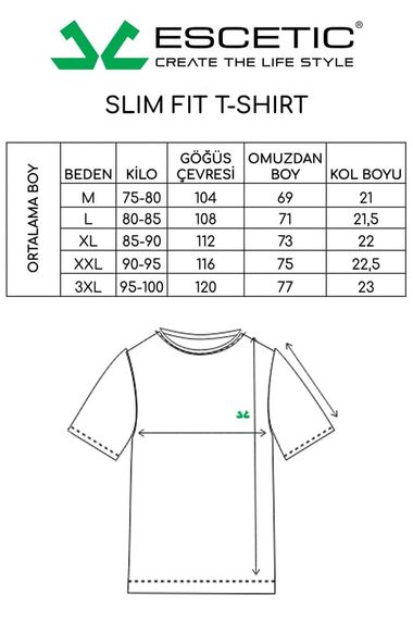 Escetic Мужская серая спортивная футболка с круглым вырезом Slimfit из дышащей хлопковой ткани Aves T0046 - фото 2