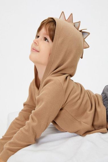 Koton Erkek Bebek Basic Kapşonlu Sweatshirt uzun Kollu Pamuklu - fotoğraf 1