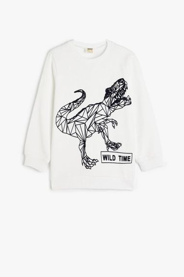 Boys' Dinosaur Print Long Sleeve Sweatshirt with Fleece Lining, Crew Neck, Available in Sizes 4-12 Years, Ecru Color - photo 1