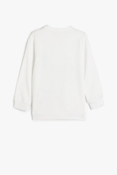 Boys' Dinosaur Print Long Sleeve Sweatshirt with Fleece Lining, Crew Neck, Available in Sizes 4-12 Years, Ecru Color - photo 2