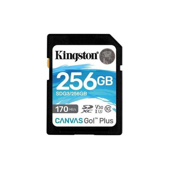 Карточка памяти Kingston 256 ГБ SD SDG3/256GB Canvas Go+ Class 10 для высокоскоростной записи и чтения данных