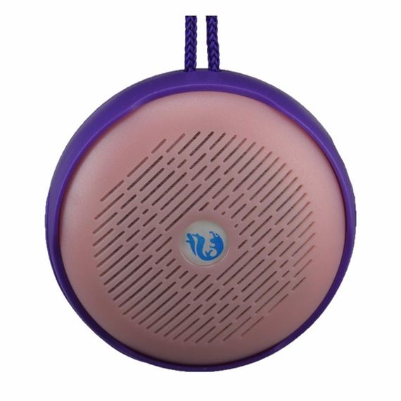 BS607 Bluetooth Wireless Speaker with Hanger Mount - photo 1