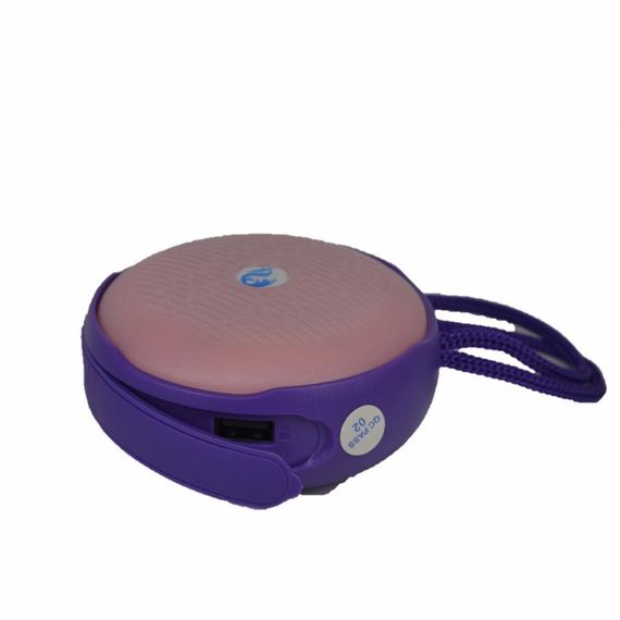 Bs607 Askı Aparatlı Bluetoot Kablosuz Hoparlör  - fotoğraf 3