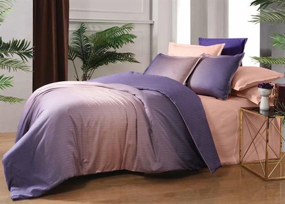 Sarev Exclusive Çift Kişilik Tencel Nevresim Takımı Solido Somon