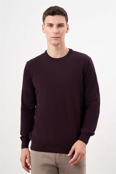 Morven Erkek Mor Basic Bisiklet Yaka Dynamic Fit Rahat Kesim Triko - fotoğraf 1