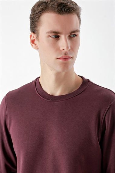 Мужская базовая свитер-футболка с круглым вырезом Morven, цвет баклажан, 100% хлопок, длинные рукава, динамичная посадка, без карманов - фото 4