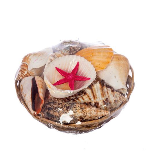 M'art Home Decorative Shell - Small