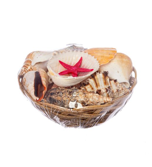 M'art Home Decorative Shell - Small