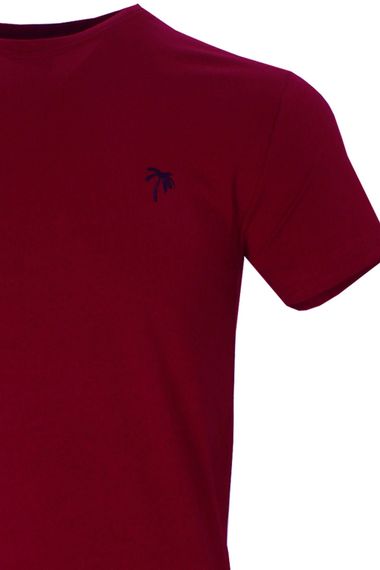 Varetta Erkek Bordo Bisiklet Yaka Kısa Kollu T shirt - photo 3