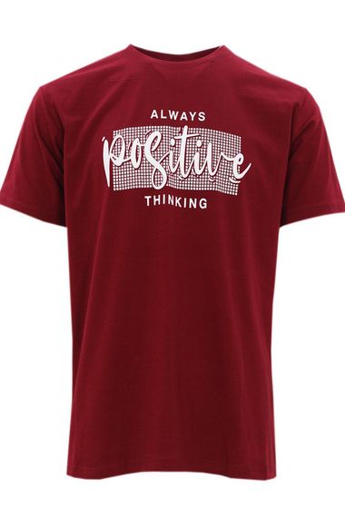 Erkek Bordo Büyük Beden Kısa Kollu Likralı Regolar Kesim Erkek T_Shirt - fotoğraf 1