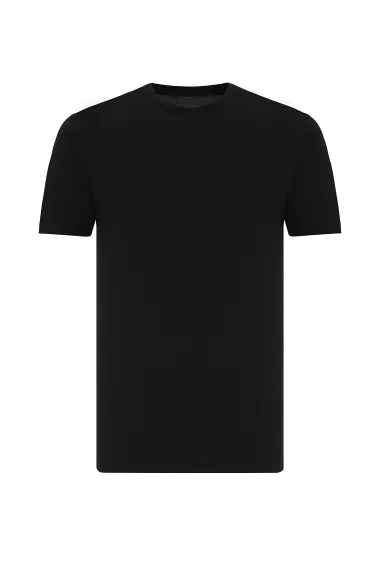 O Neck Regular Fit Plain T-Shirt - photo 1