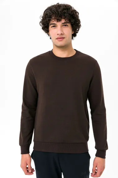 O Neck Regular Fit Plain Sweatshirt - photo 1