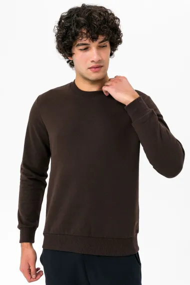 O Neck Regular Fit Plain Sweatshirt - photo 3
