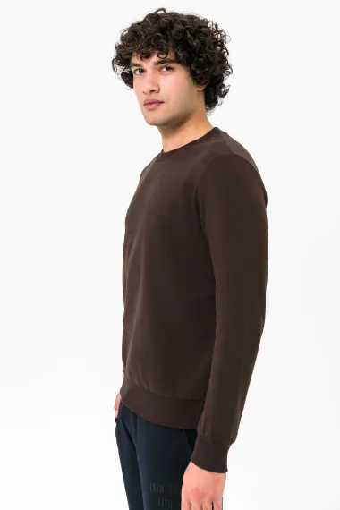 O Neck Regular Fit Plain Sweatshirt - photo 5