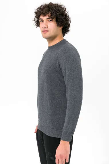 O Neck Regular Fit Plain Sweatshirt - photo 5