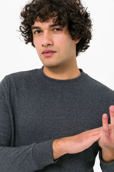 O Neck Regular Fit Plain Sweatshirt - photo 3