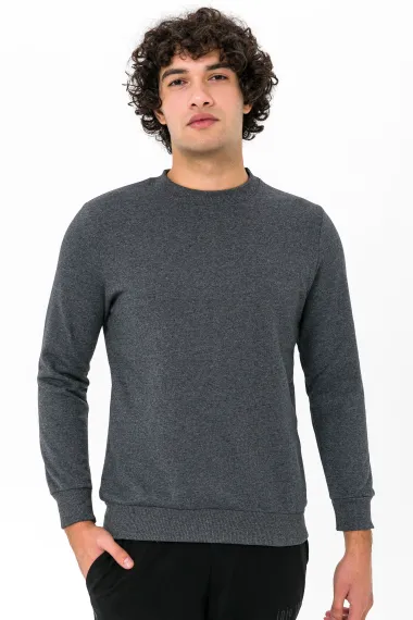 O Neck Regular Fit Plain Sweatshirt - photo 1