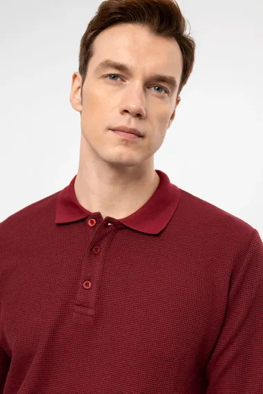 Свитшот поло с обычным кроем, армированным, тёмно-бордового цвета, состав: 64% полиэстер, 34% вискоза, 2% эластан, производство Турция - фото 3