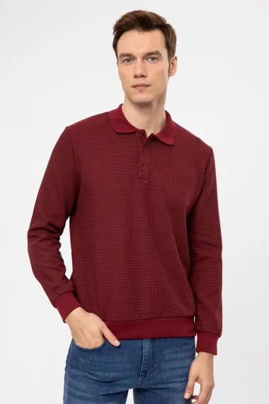 Свитшот поло с обычным кроем, армированным, тёмно-бордового цвета, состав: 64% полиэстер, 34% вискоза, 2% эластан, производство Турция - фото 1
