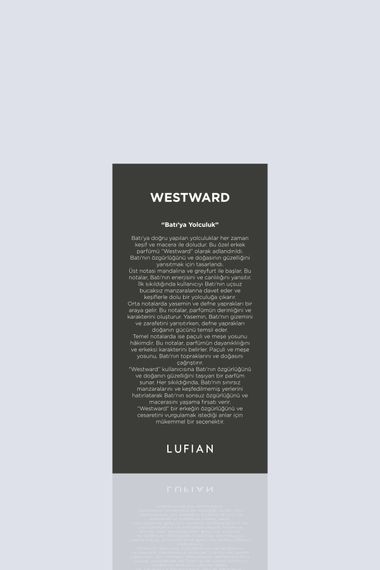 Дезодорант Westward M Стандарт, розмір STD, стандартний колір, надійний захист та свіжість протягом усього дня - фото 3